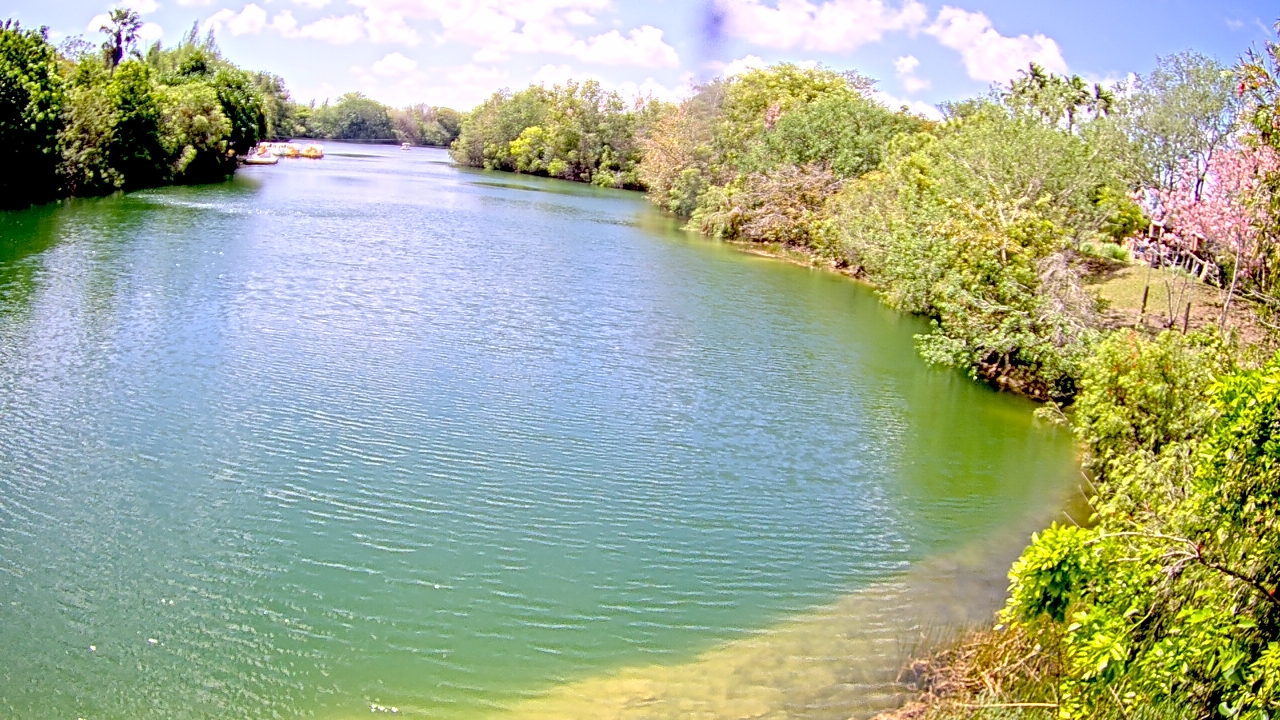 Thumbnail for current weather camera view from Zoo Miami in Miami, Florida