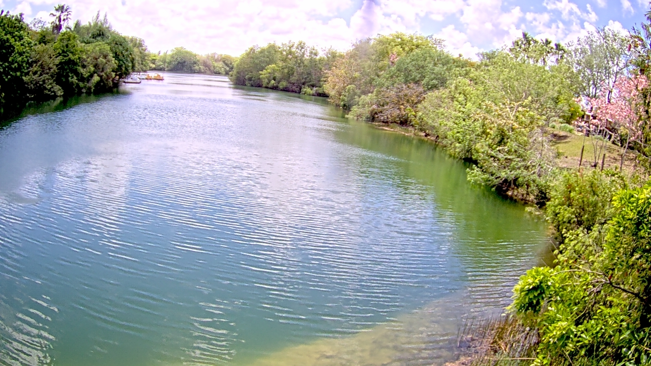 Thumbnail for current weather camera view from Zoo Miami in Miami, Florida