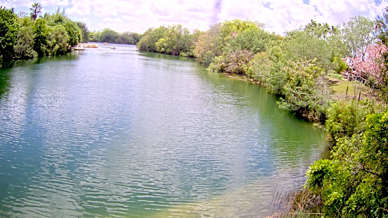 Thumbnail for current weather camera view from Zoo Miami in Miami, Florida