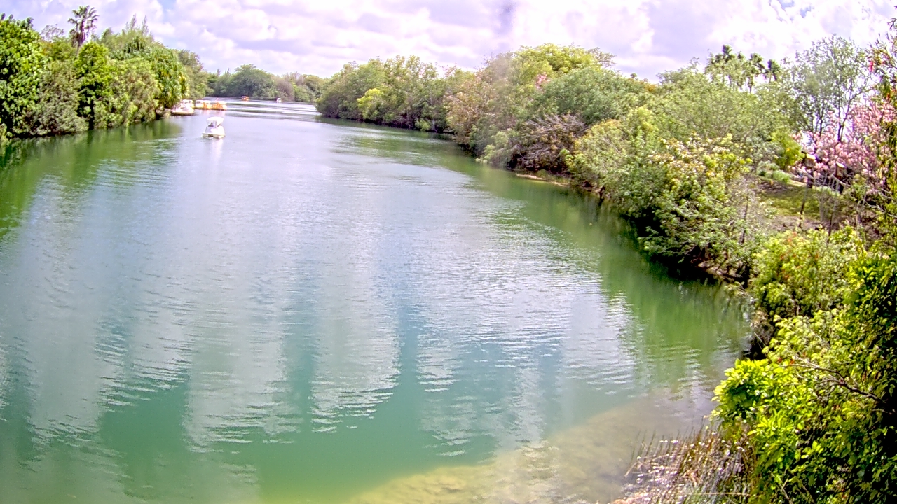 Thumbnail for current weather camera view from Zoo Miami in Miami, Florida