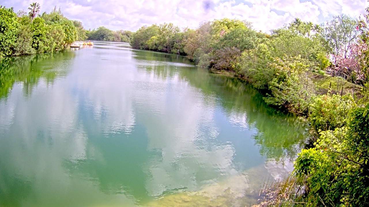 Thumbnail for current weather camera view from Zoo Miami in Miami, Florida