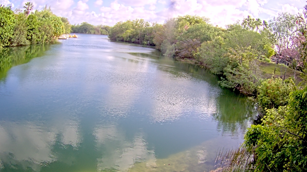 Thumbnail for current weather camera view from Zoo Miami in Miami, Florida