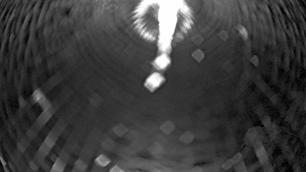 Thumbnail for current weather camera view from Zoo Miami in Miami, Florida