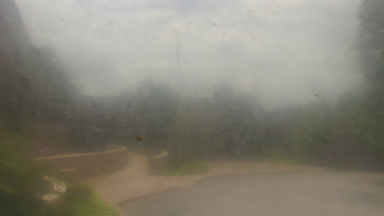 Thumbnail for current weather camera view from St Joseph School in Nashville, Tennessee