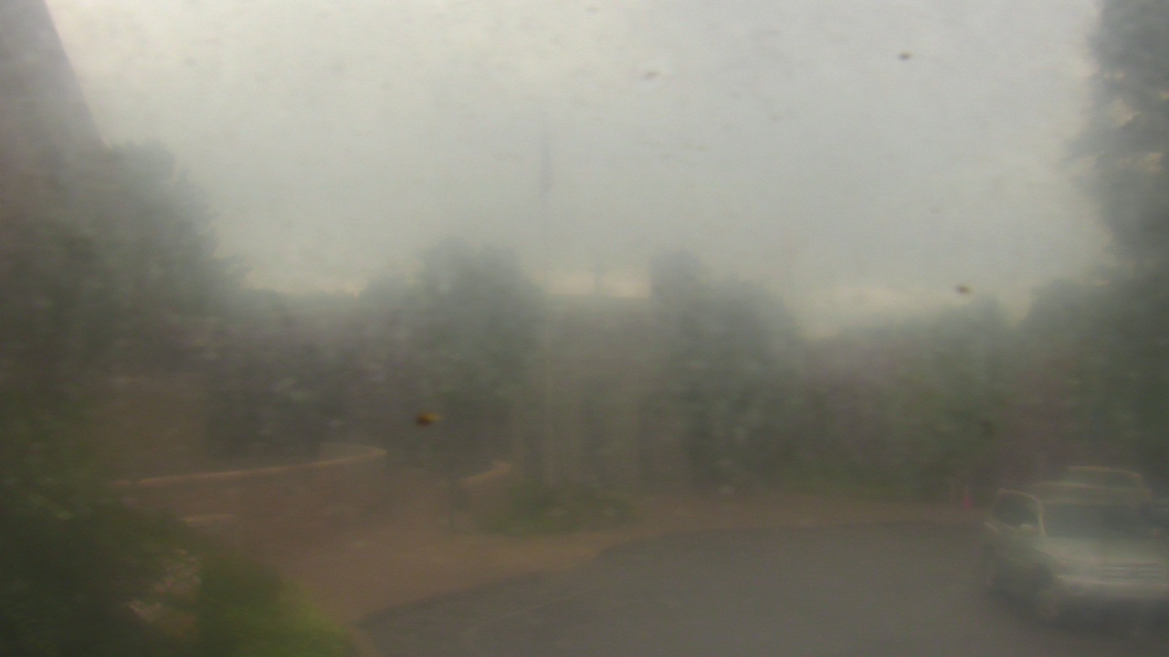 Thumbnail for current weather camera view from St Joseph School in Nashville, Tennessee