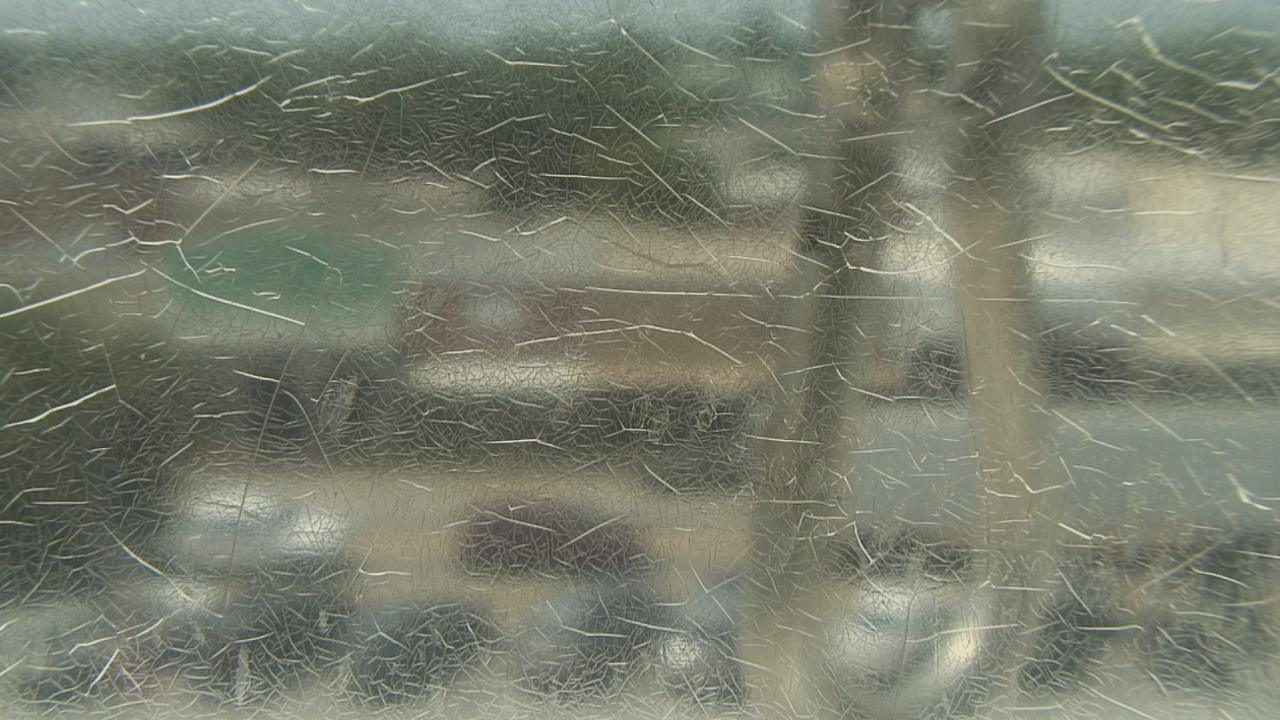 Thumbnail for current weather camera view from Madison County OEM in Madisonville, Texas