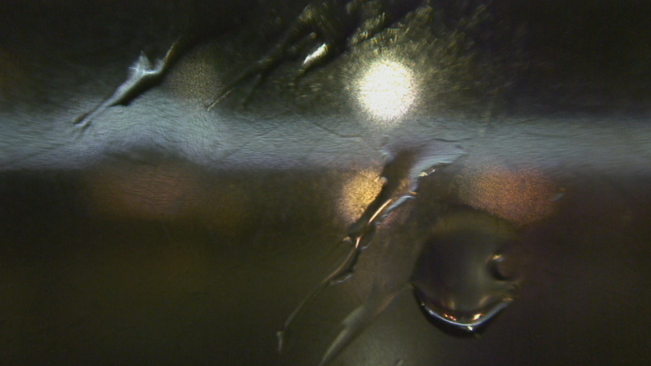 Thumbnail for current weather camera view from Madison County OEM in Madisonville, Texas