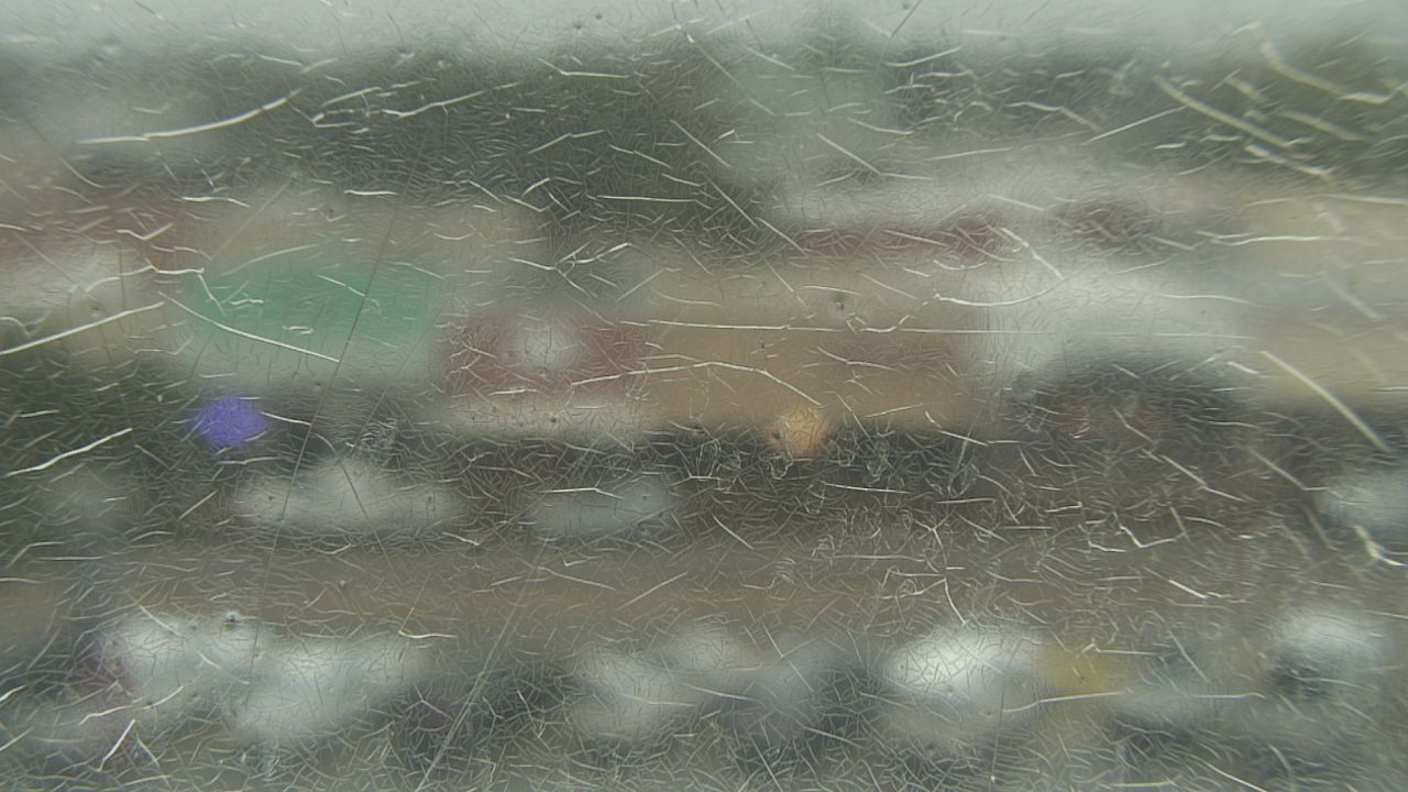 Thumbnail for current weather camera view from Madison County OEM in Madisonville, Texas