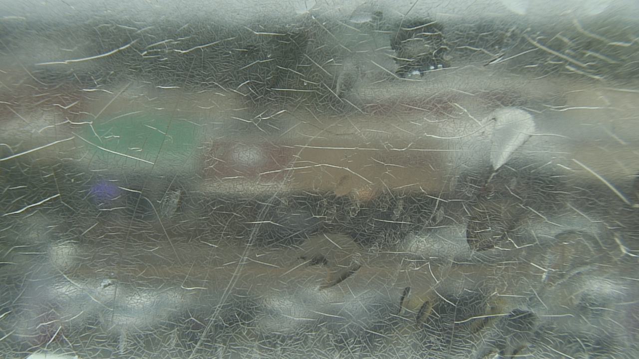 Thumbnail for current weather camera view from Madison County OEM in Madisonville, Texas