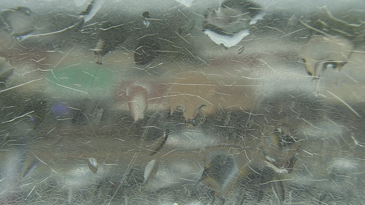 Thumbnail for current weather camera view from Madison County OEM in Madisonville, Texas