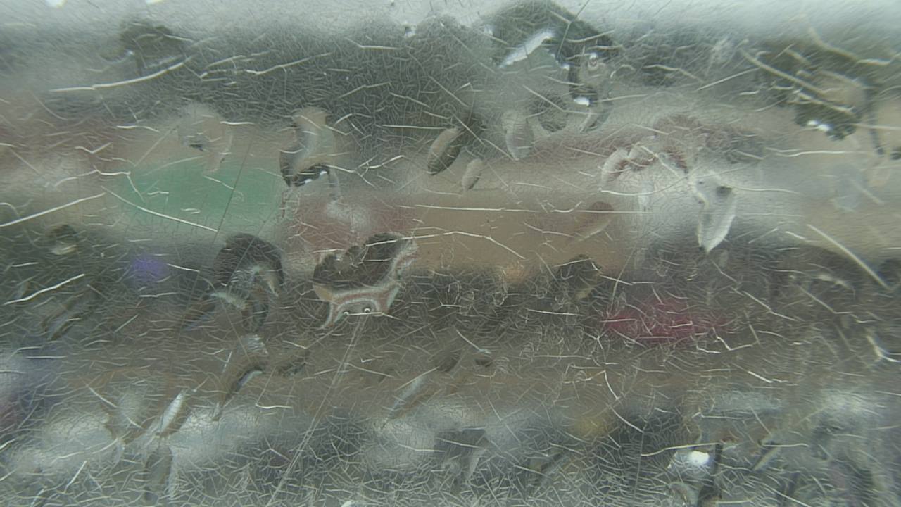 Thumbnail for current weather camera view from Madison County OEM in Madisonville, Texas