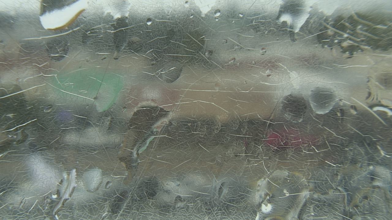 Thumbnail for current weather camera view from Madison County OEM in Madisonville, Texas