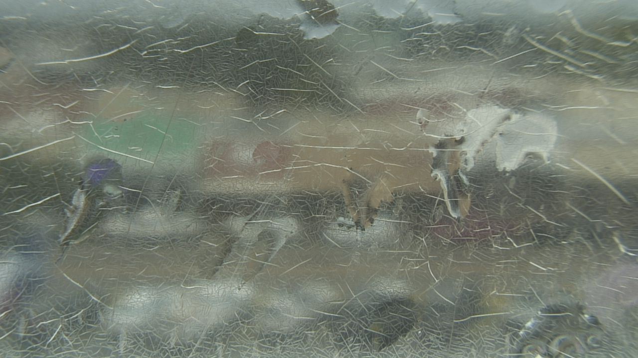 Thumbnail for current weather camera view from Madison County OEM in Madisonville, Texas