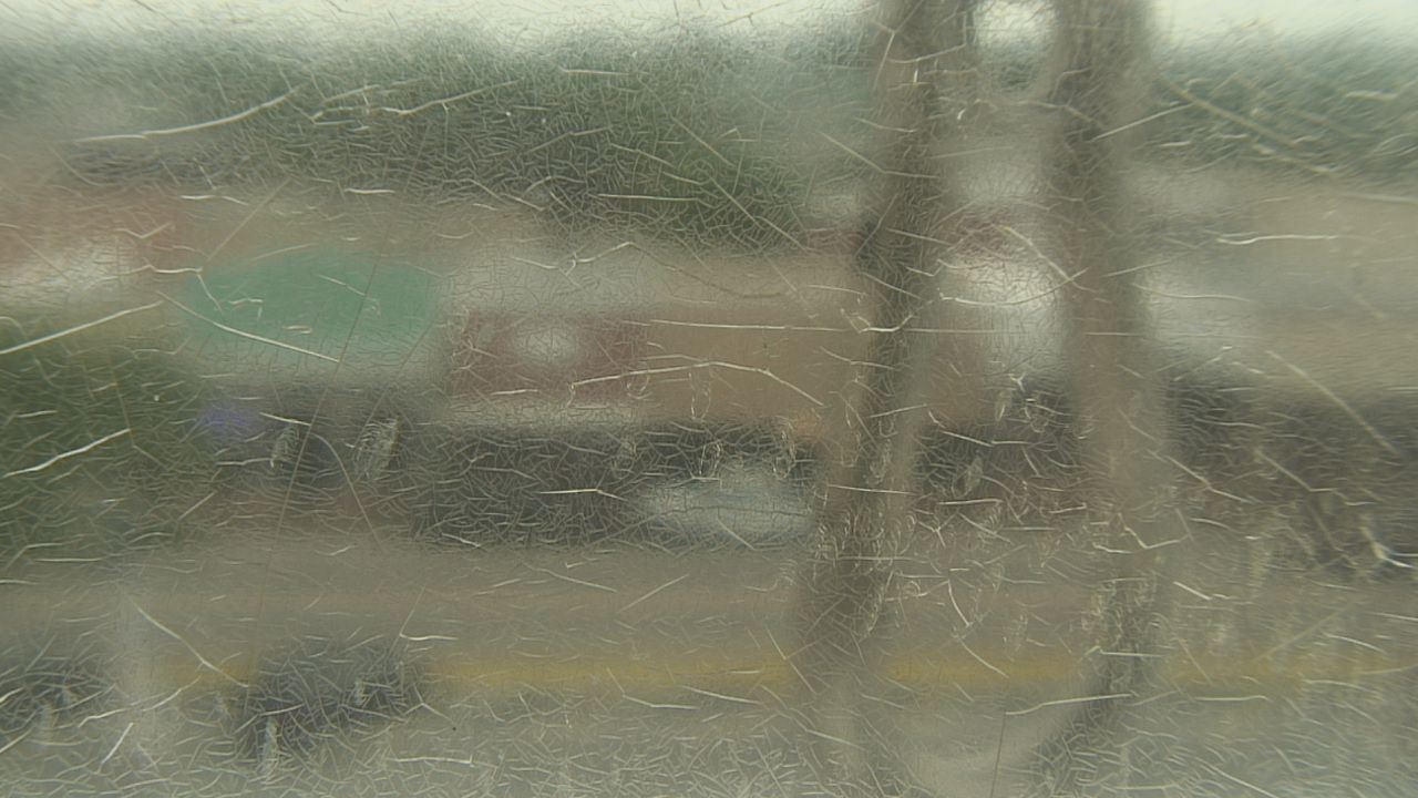 Thumbnail for current weather camera view from Madison County OEM in Madisonville, Texas