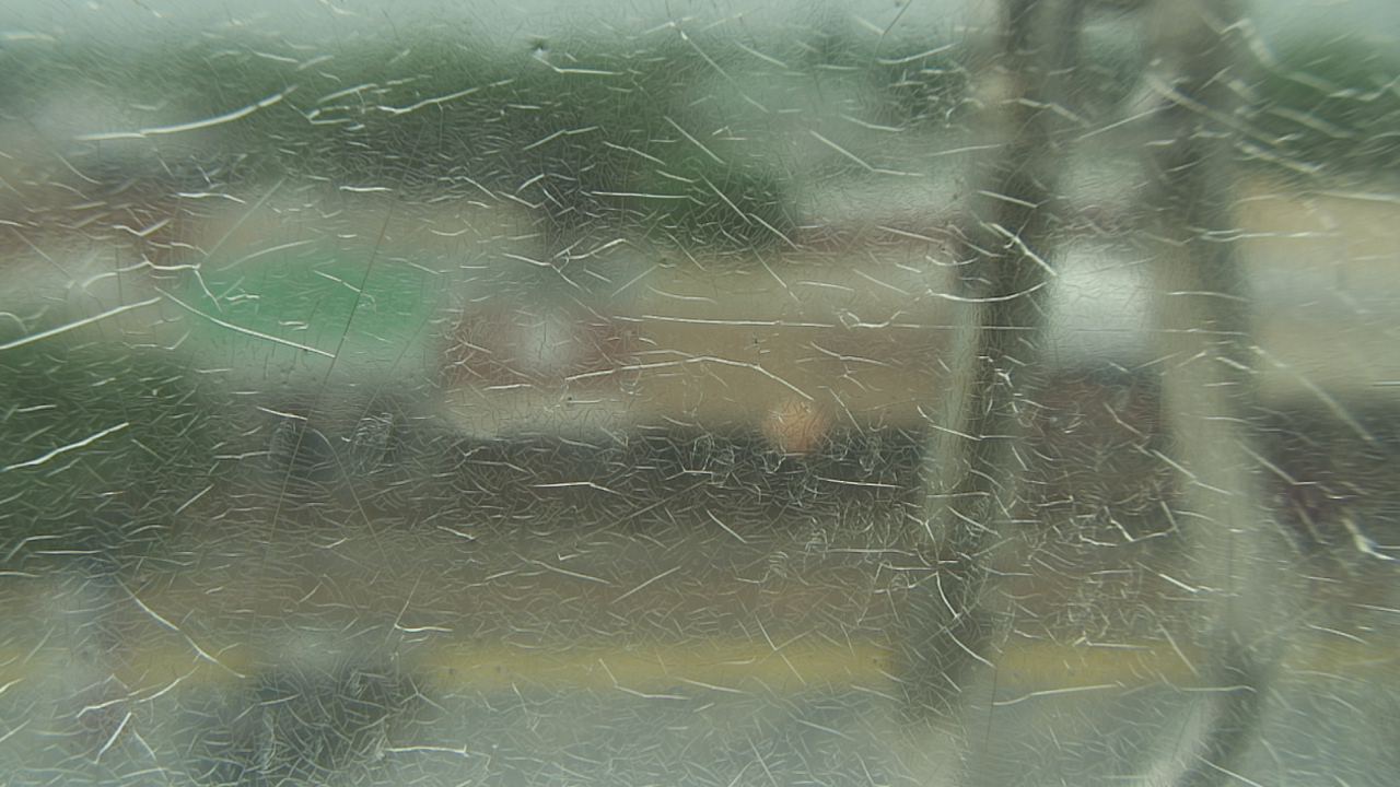 Thumbnail for current weather camera view from Madison County OEM in Madisonville, Texas