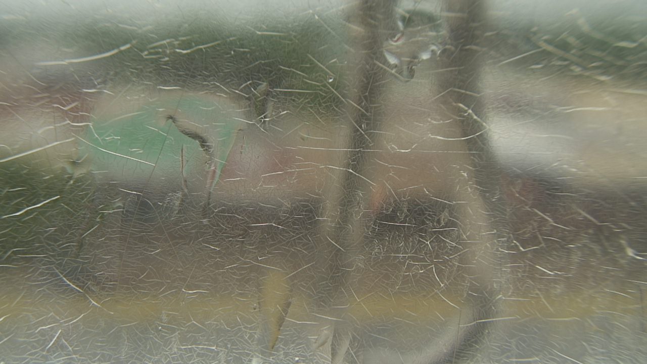 Thumbnail for current weather camera view from Madison County OEM in Madisonville, Texas