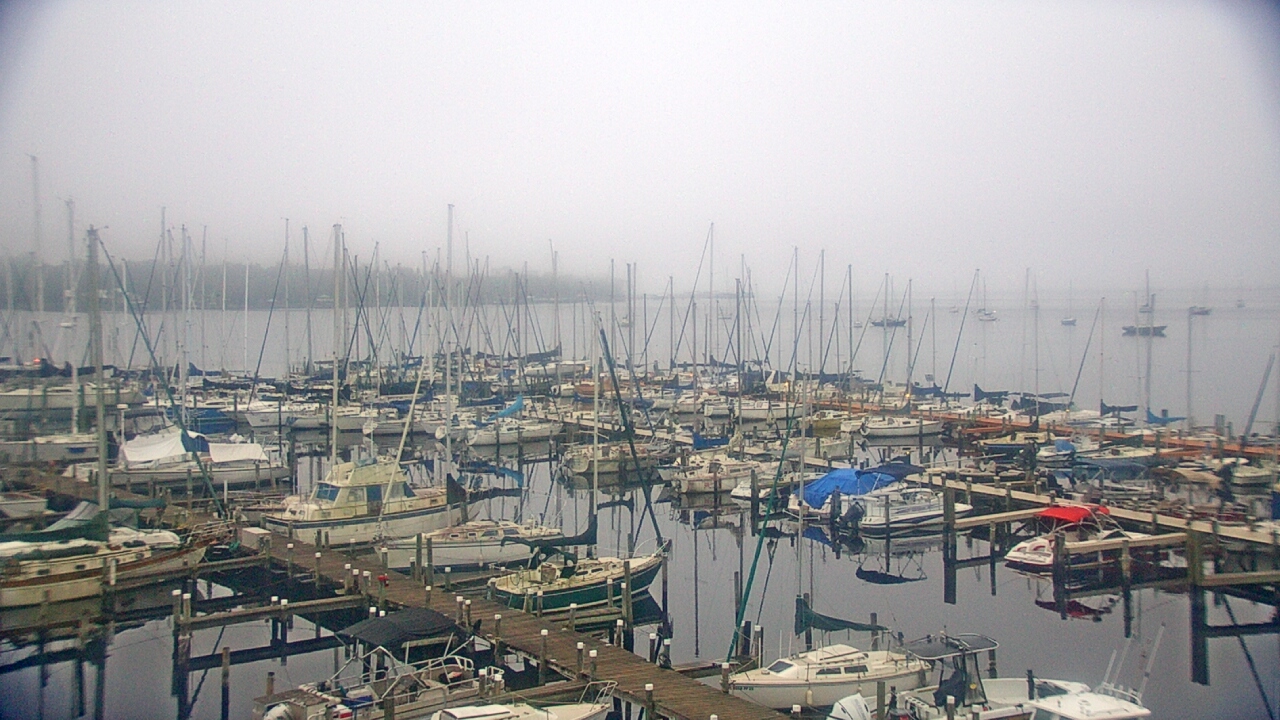 Thumbnail for current weather camera view from Mandarin Holiday Marina in Jacksonville, Florida