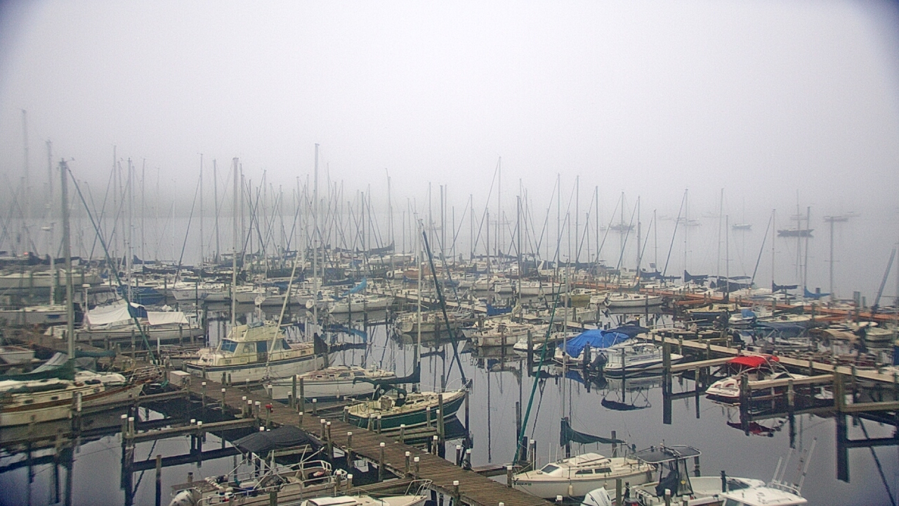 Thumbnail for current weather camera view from Mandarin Holiday Marina in Jacksonville, Florida