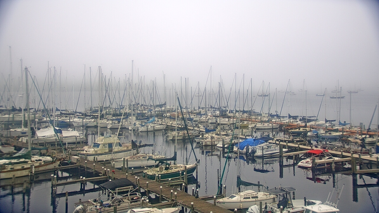 Thumbnail for current weather camera view from Mandarin Holiday Marina in Jacksonville, Florida