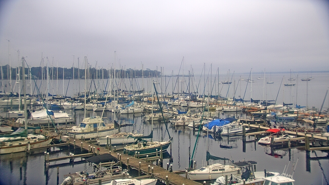 Thumbnail for current weather camera view from Mandarin Holiday Marina in Jacksonville, Florida