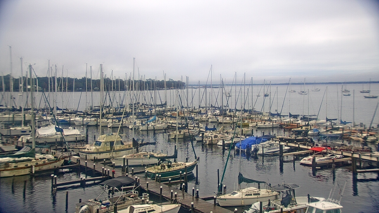 Thumbnail for current weather camera view from Mandarin Holiday Marina in Jacksonville, Florida