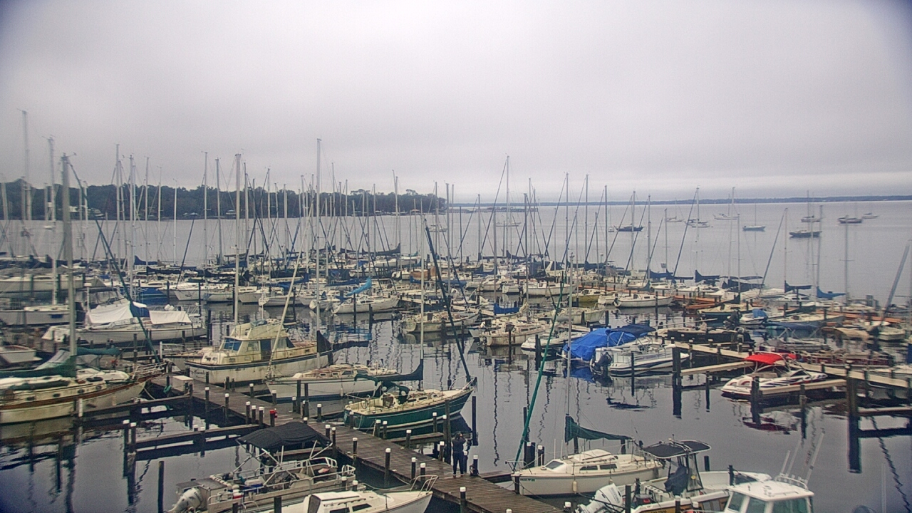 Thumbnail for current weather camera view from Mandarin Holiday Marina in Jacksonville, Florida