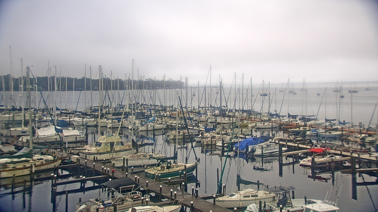 Thumbnail for current weather camera view from Mandarin Holiday Marina in Jacksonville, Florida