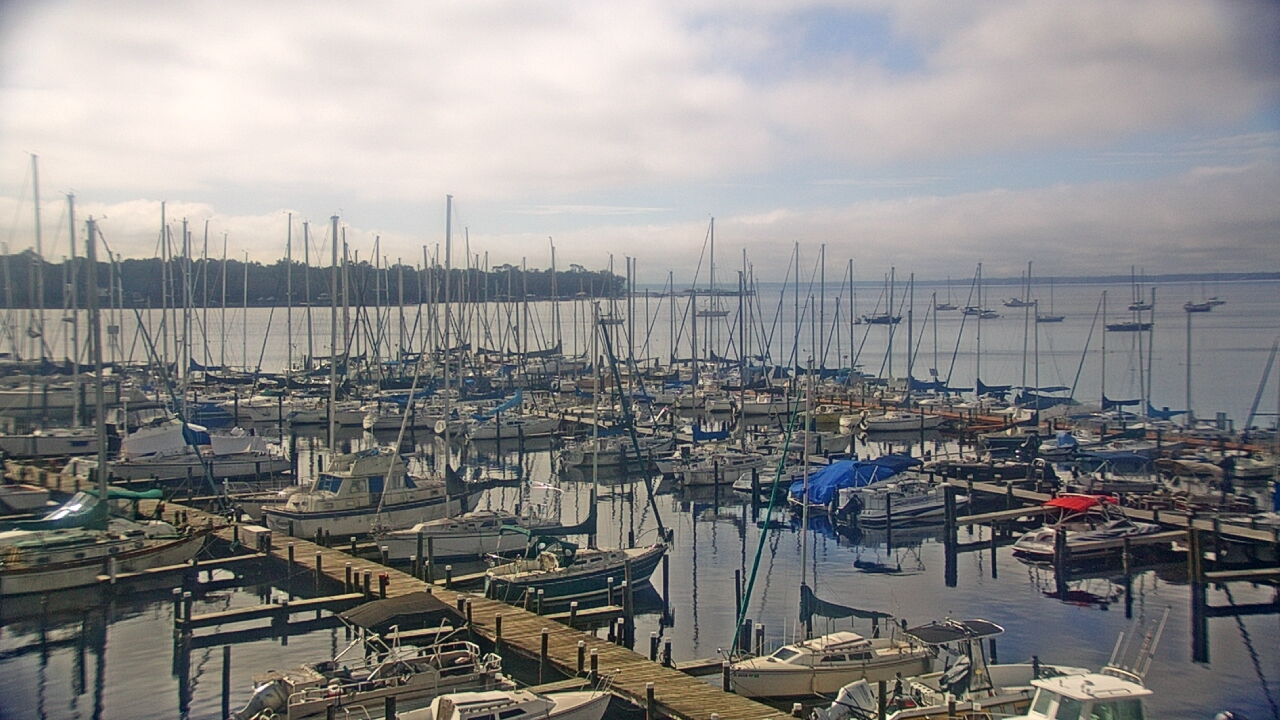 Thumbnail for current weather camera view from Mandarin Holiday Marina in Jacksonville, Florida