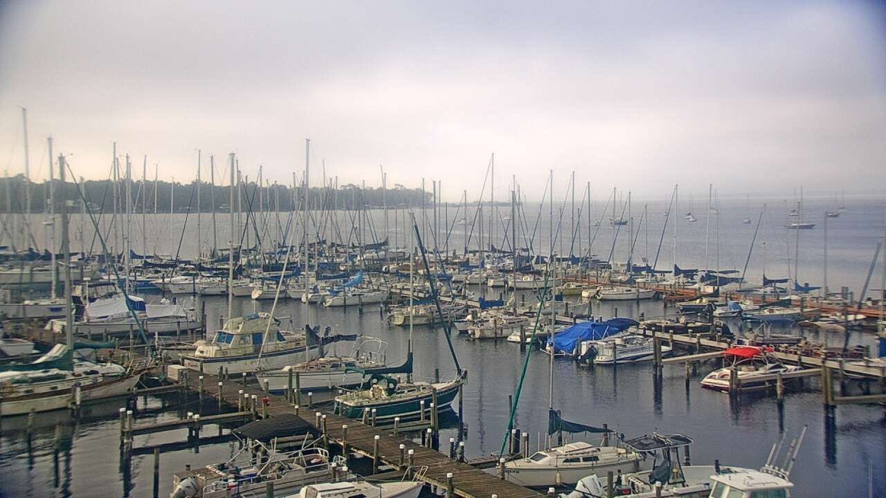 Thumbnail for current weather camera view from Mandarin Holiday Marina in Jacksonville, Florida
