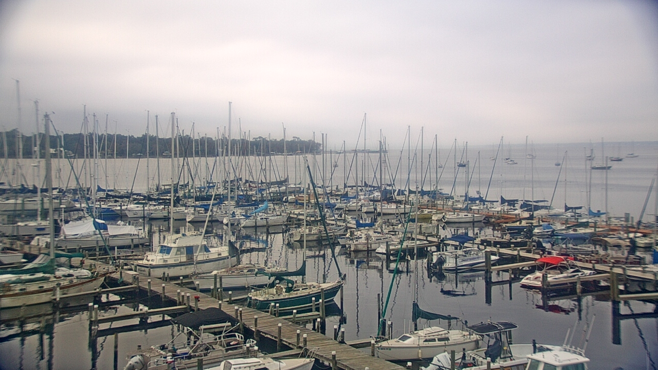 Thumbnail for current weather camera view from Mandarin Holiday Marina in Jacksonville, Florida