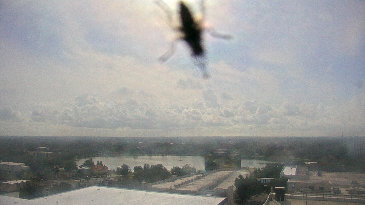 Thumbnail for current weather camera view from Midflorida Credit Union in Lakeland, Florida
