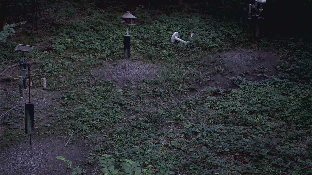 Thumbnail for current weather camera view from Cincinnati Nature Center in Batavia, Ohio