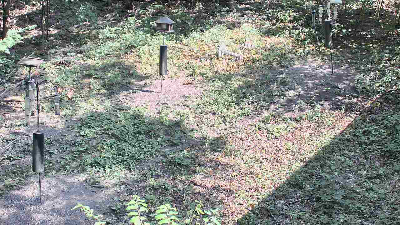 Thumbnail for current weather camera view from Cincinnati Nature Center in Batavia, Ohio