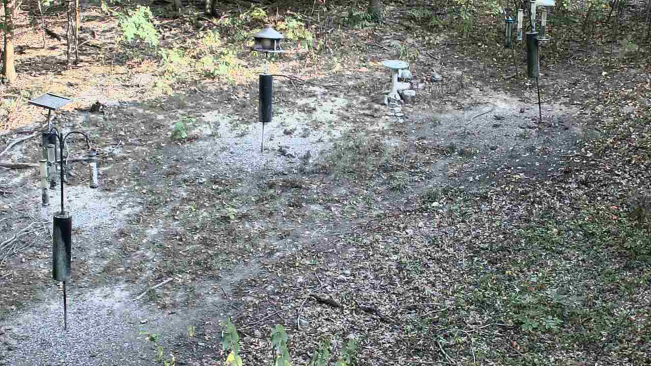 Thumbnail for current weather camera view from Cincinnati Nature Center in Batavia, Ohio