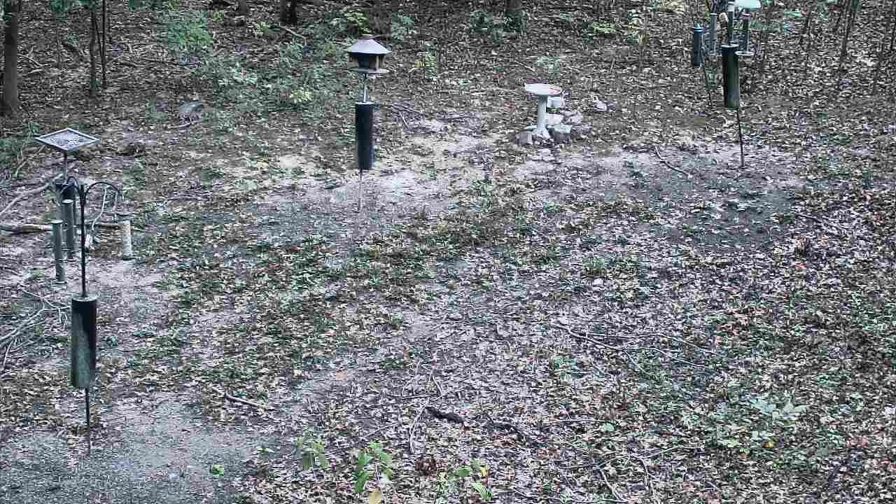 Thumbnail for current weather camera view from Cincinnati Nature Center in Batavia, Ohio