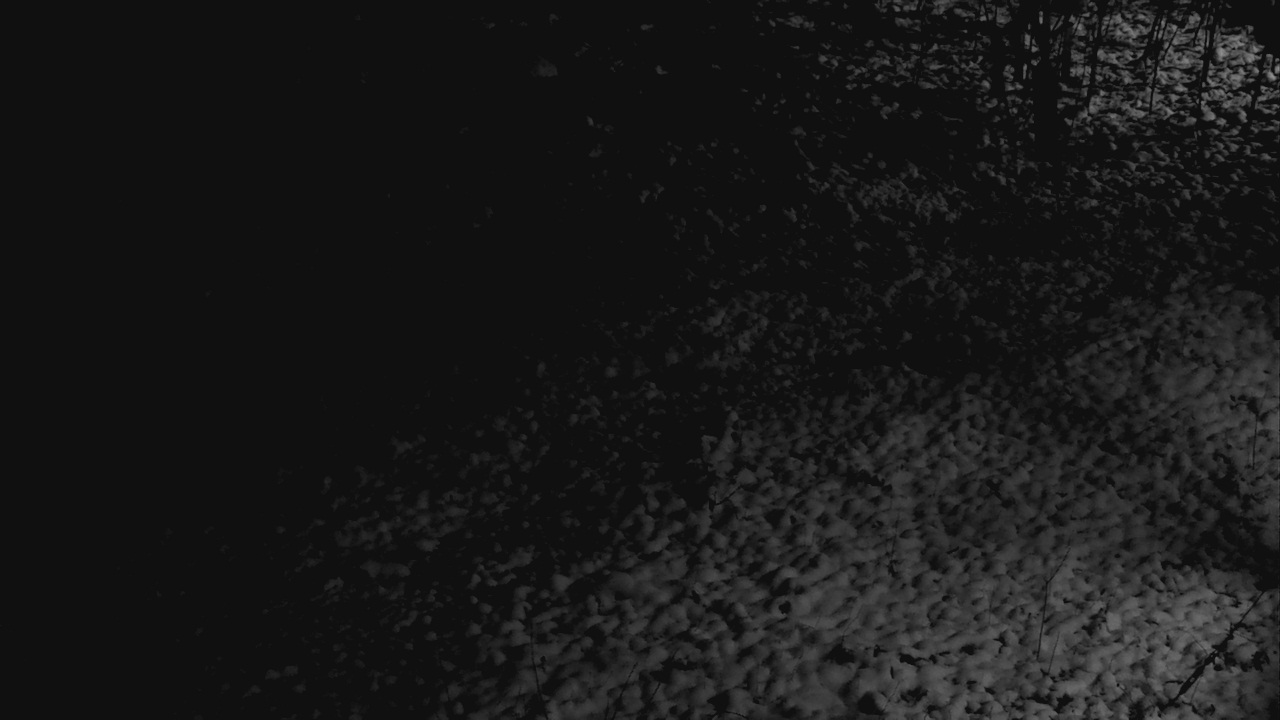 Thumbnail for current weather camera view from Cincinnati Nature Center in Batavia, Ohio