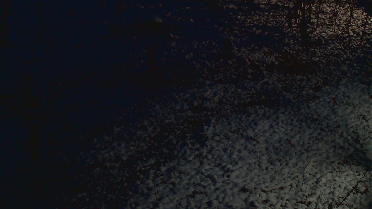 Thumbnail for current weather camera view from Cincinnati Nature Center in Batavia, Ohio