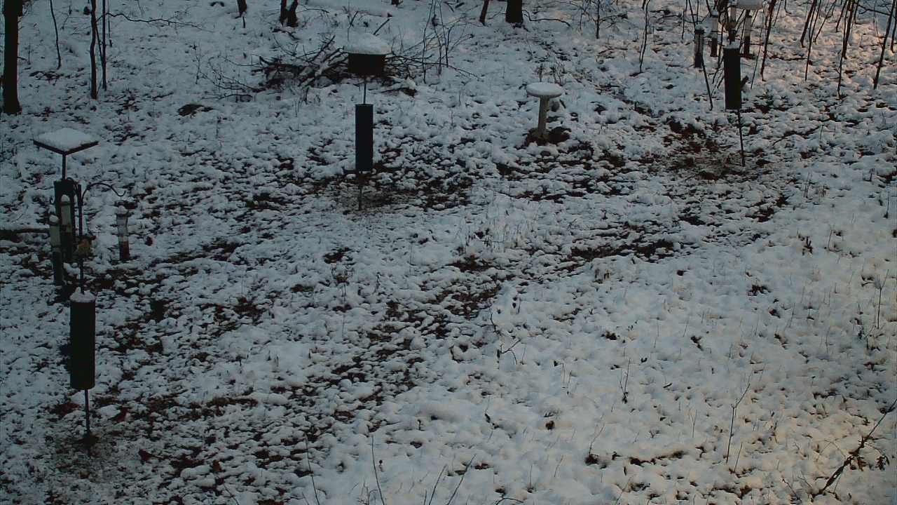 Thumbnail for current weather camera view from Cincinnati Nature Center in Batavia, Ohio