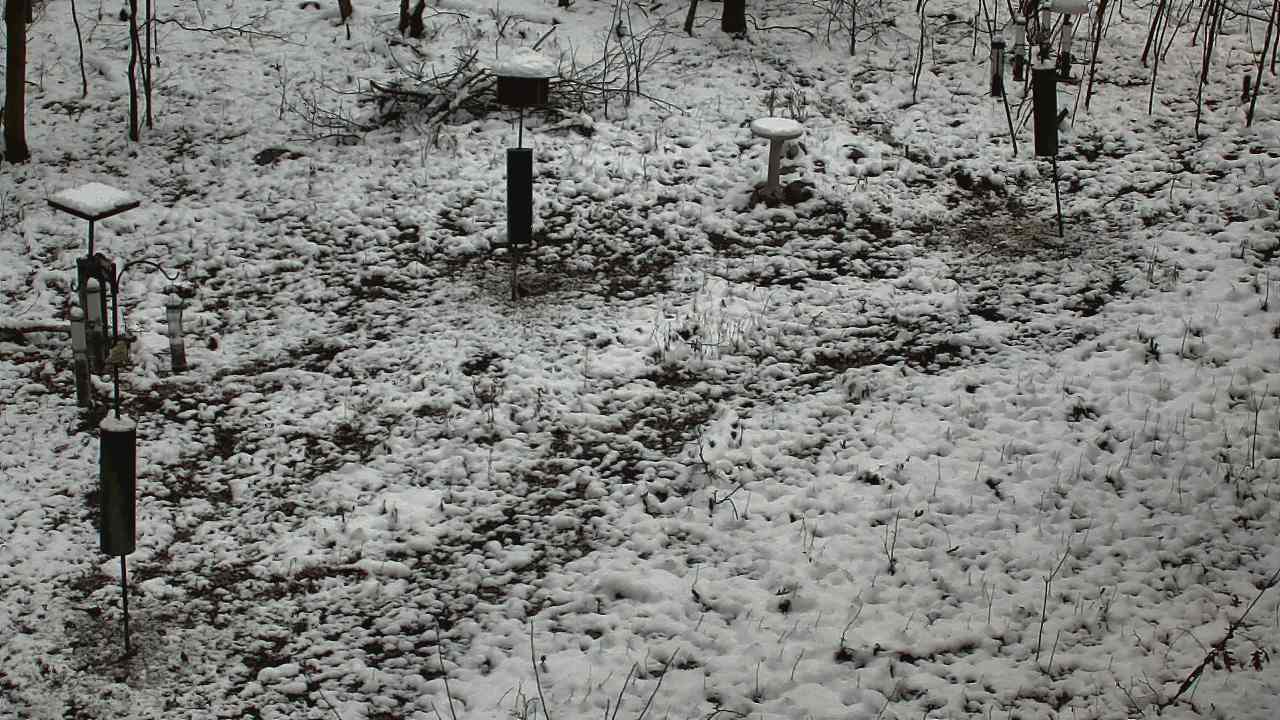 Thumbnail for current weather camera view from Cincinnati Nature Center in Batavia, Ohio