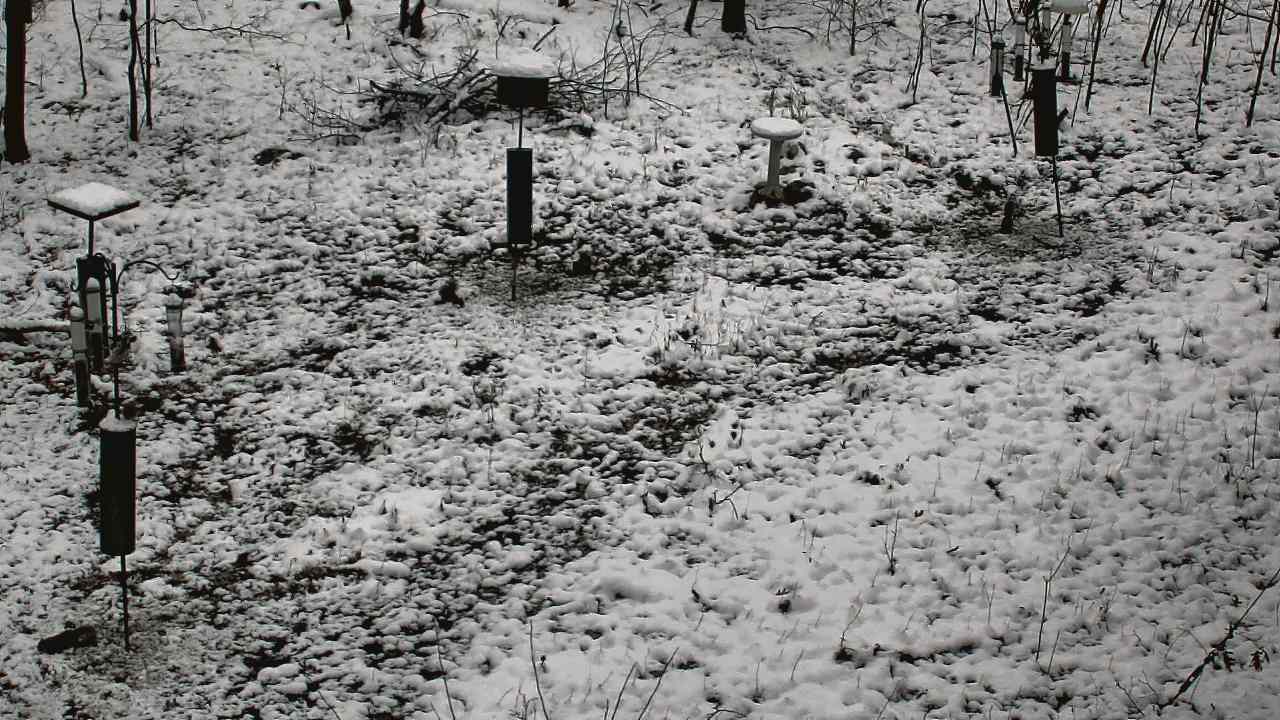 Thumbnail for current weather camera view from Cincinnati Nature Center in Batavia, Ohio