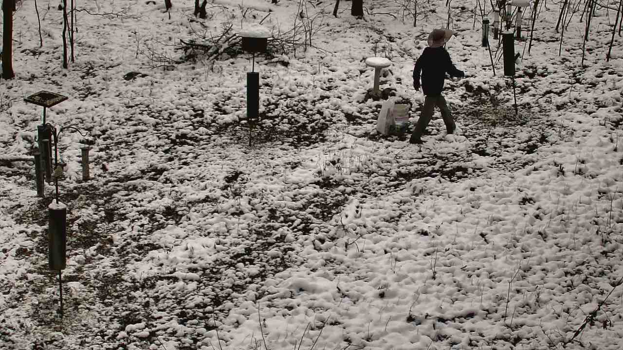 Thumbnail for current weather camera view from Cincinnati Nature Center in Batavia, Ohio