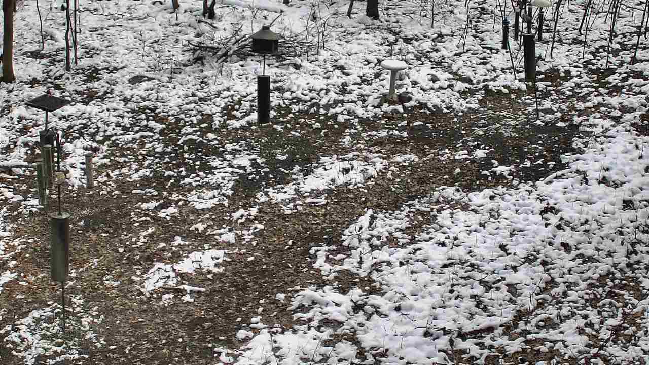 Thumbnail for current weather camera view from Cincinnati Nature Center in Batavia, Ohio