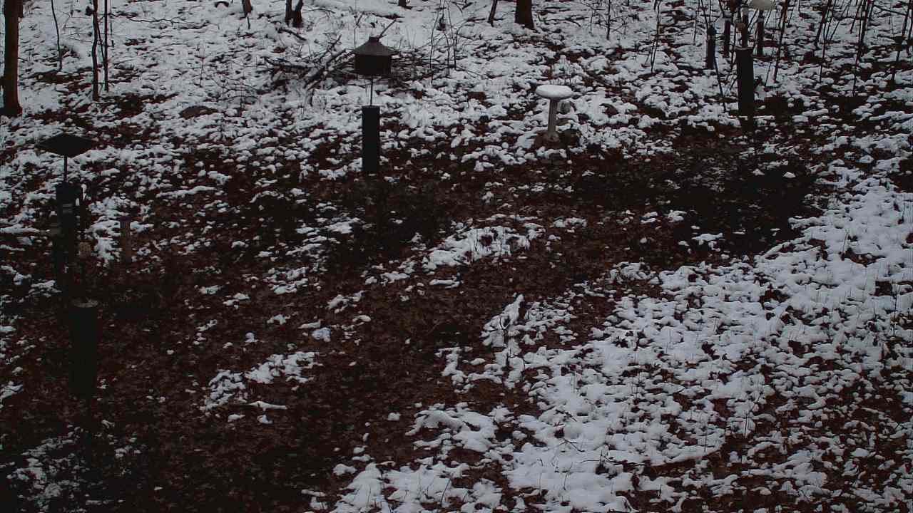 Thumbnail for current weather camera view from Cincinnati Nature Center in Batavia, Ohio