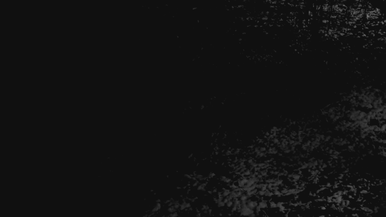 Thumbnail for current weather camera view from Cincinnati Nature Center in Batavia, Ohio