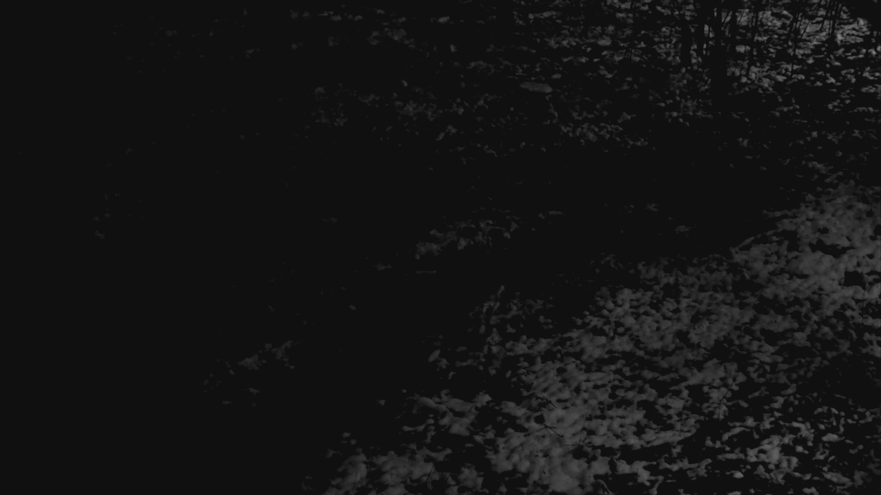 Thumbnail for current weather camera view from Cincinnati Nature Center in Batavia, Ohio