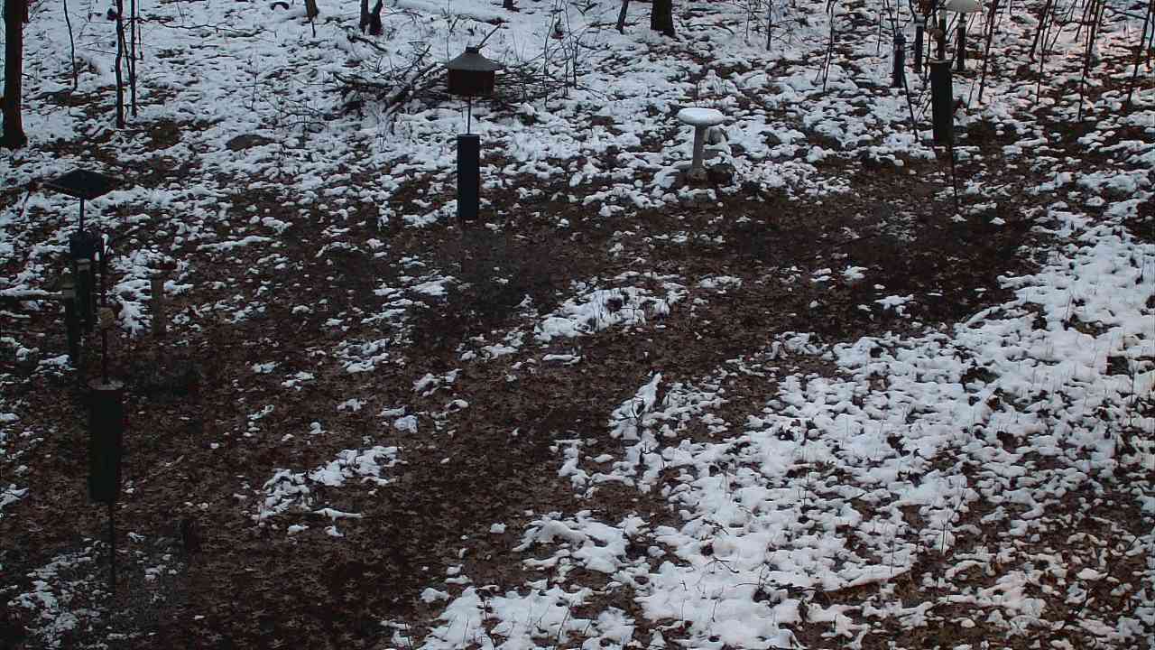 Thumbnail for current weather camera view from Cincinnati Nature Center in Batavia, Ohio