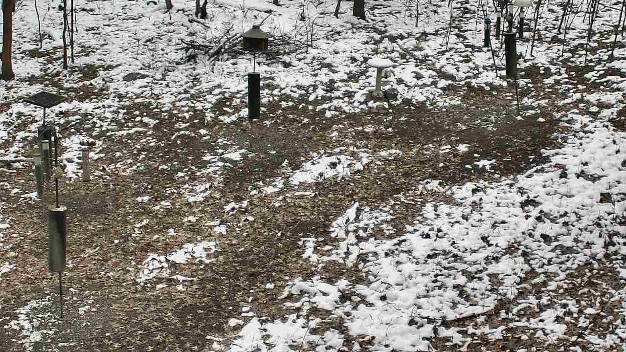 Thumbnail for current weather camera view from Cincinnati Nature Center in Batavia, Ohio