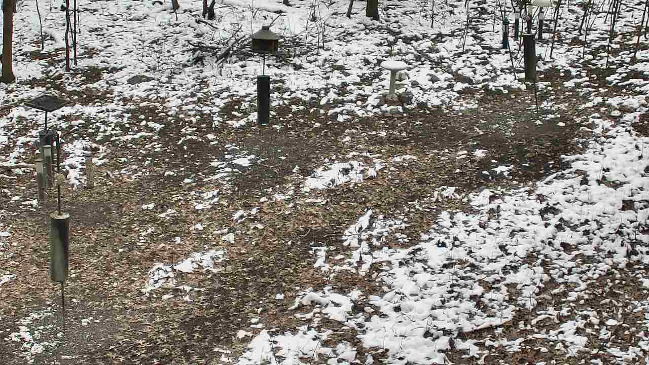 Thumbnail for current weather camera view from Cincinnati Nature Center in Batavia, Ohio