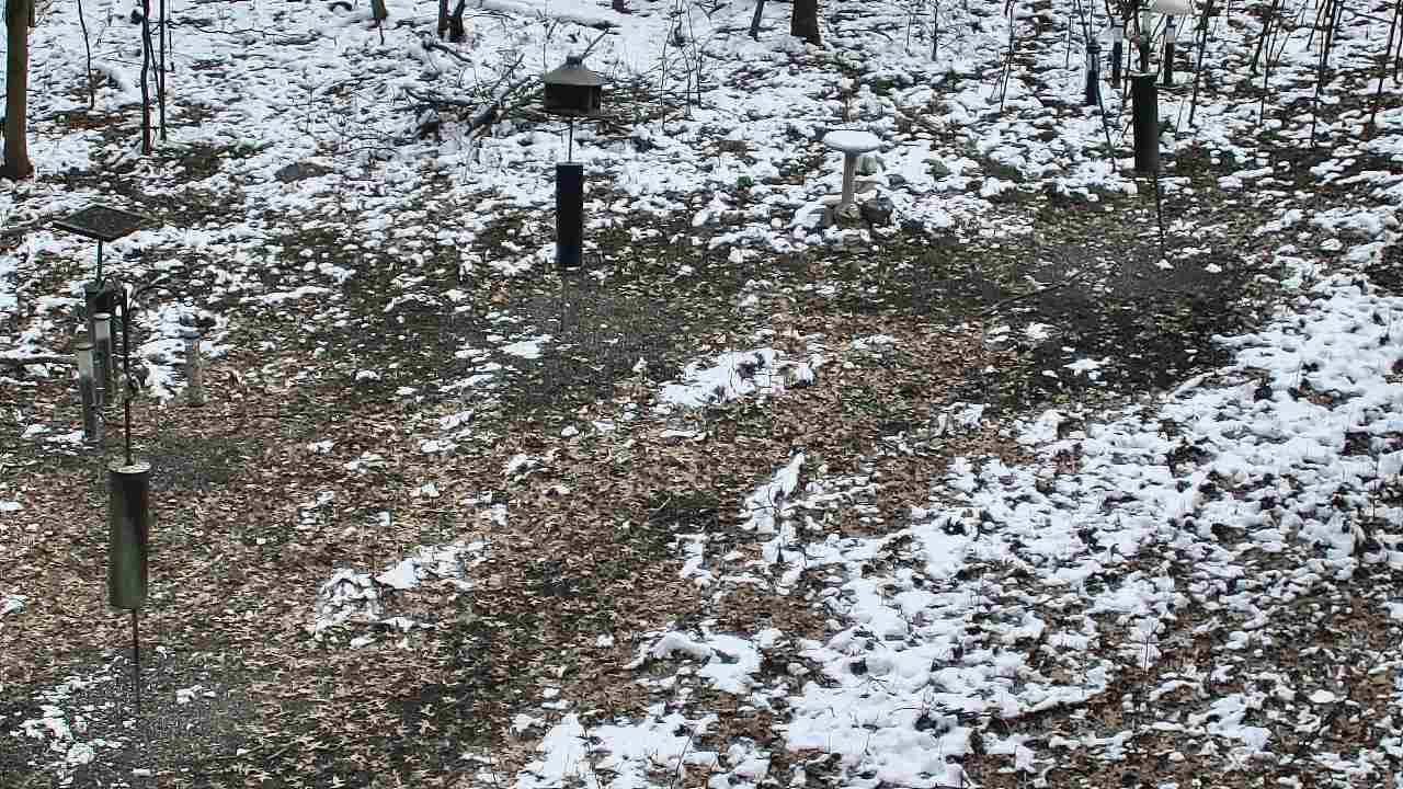 Thumbnail for current weather camera view from Cincinnati Nature Center in Batavia, Ohio