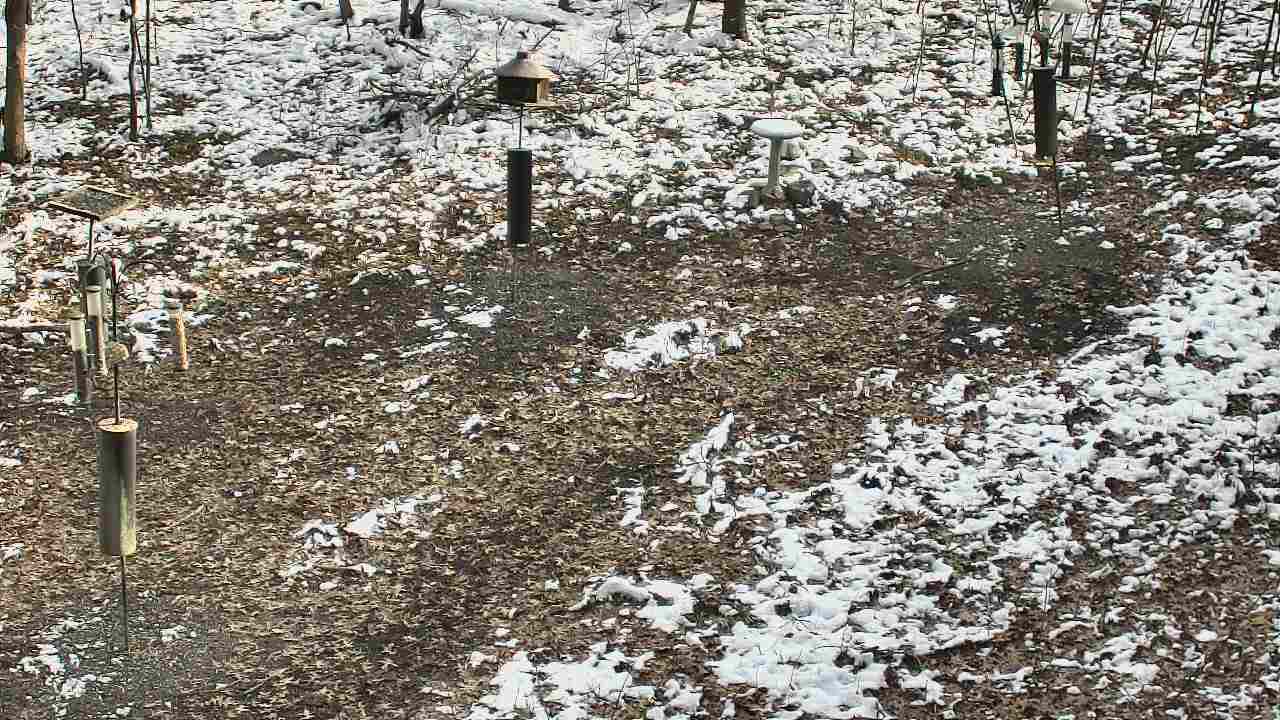 Thumbnail for current weather camera view from Cincinnati Nature Center in Batavia, Ohio